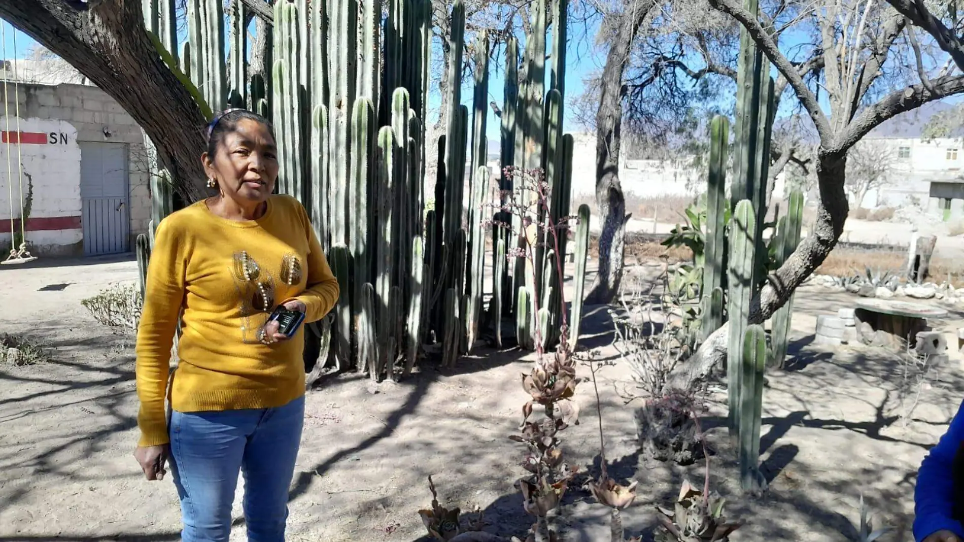 VESTIGIOS TEHUACAN 01 IRF